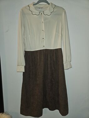 Two-Tone Cream Blouse & Brown A-Line Dress